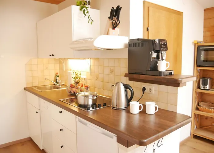 Haus Thussn, Fuer Familien Und Paare Appartement Kirchberg en Tyrol