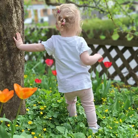 Lägenhet Haus Thussn, Fuer Familien Und Paare Kirchberg in Tirol